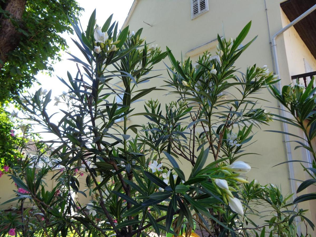 Sobodajalstvo Obal Cankova Ngoại thất bức ảnh